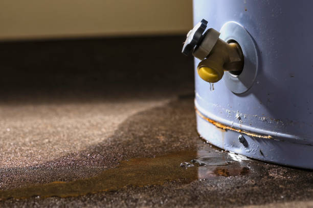 Best Water damage restoration services  in Chapin, SC