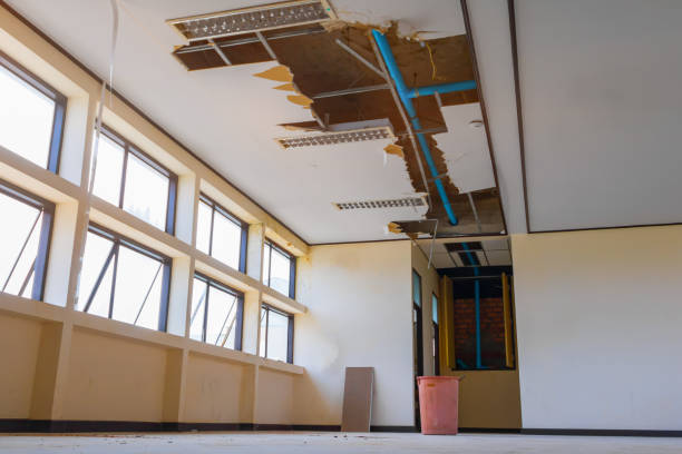 Best Professional water damage repair  in Chapin, SC