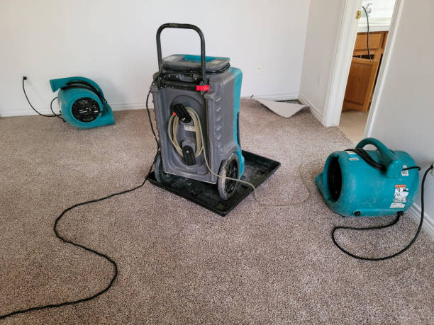 Reliable Chapin, SC Water damage restoration Solutions