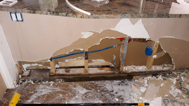  Chapin, SC Water damage restoration Pros