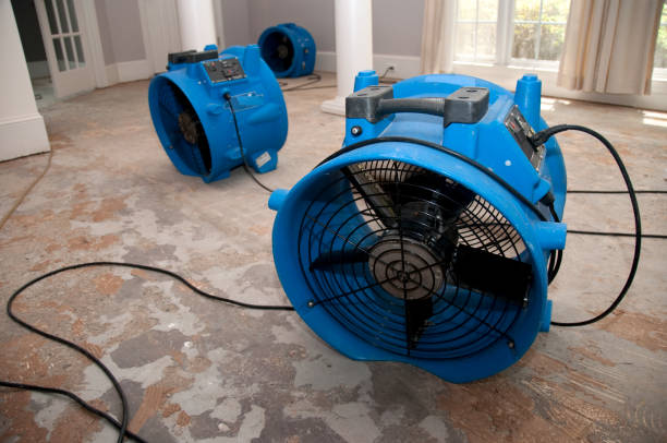 Water damage restoration mold remediation in Chapin, SC