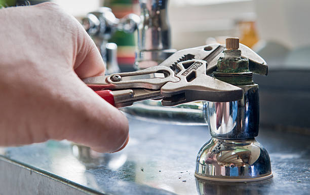 Best Water damage restoration mold remediation  in Chapin, SC