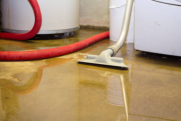 Best Fire Damage Restoration  in Chapin, SC