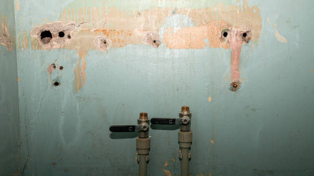 Best Mold removal after water damage  in Chapin, SC