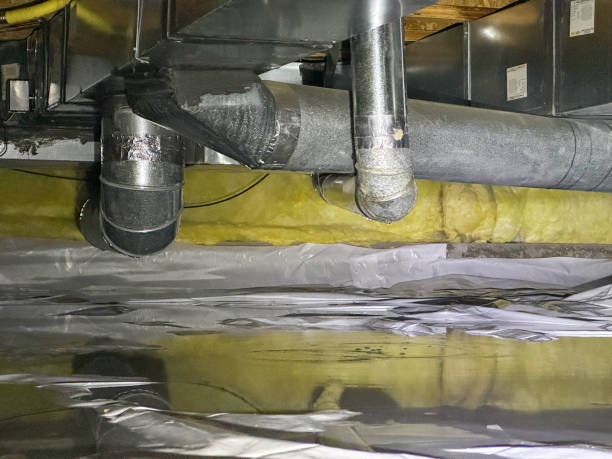 Best Ceiling water damage repair  in Chapin, SC