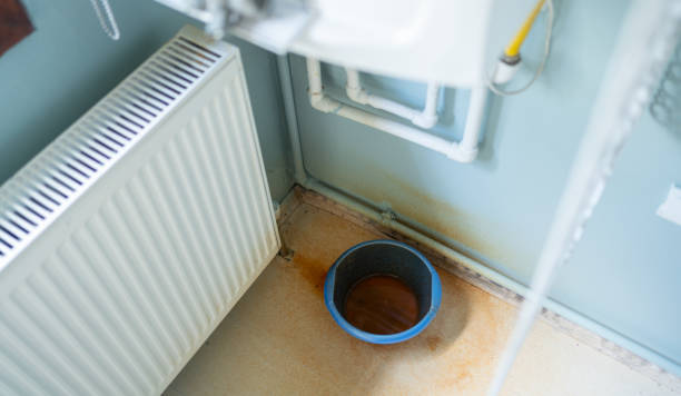 Best Water damage contractors near me  in Chapin, SC
