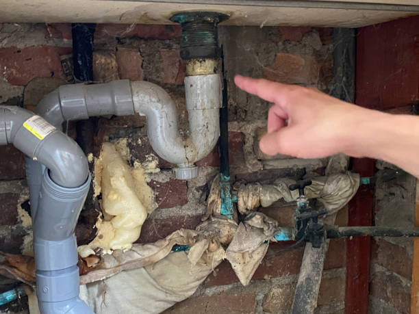 Best Commercial water damage restoration  in Chapin, SC