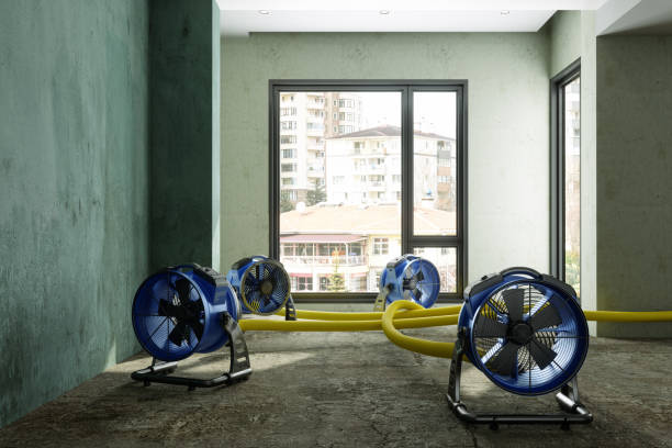 Best Flood restoration services  in Chapin, SC